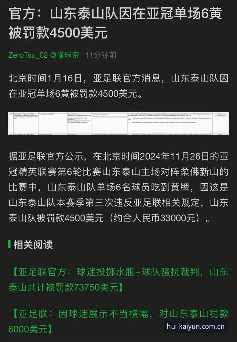 kaiyun观赛体验 足协禁足名单深度解读教程——从处罚细节看中国足球环境净化趋势